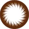 Geo Brown Circle Lens BC102 - Geo Contact Lens