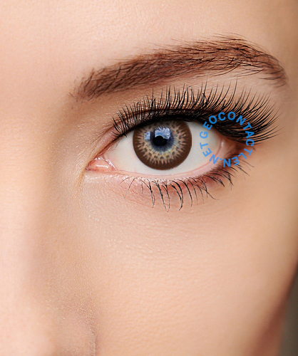 Geolica Euro Circle Dark Brown GO-A24 Geolica Euro Circle Dark Brown GO-A24 - Geo Contact Lens