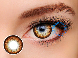 GEO Big Grang Grang Brown Lens WHC-244 - Geo Contact Lens 