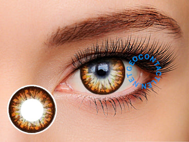 GEO Grang Grang Brown Lens HC-244 - Geo Contact Lens 