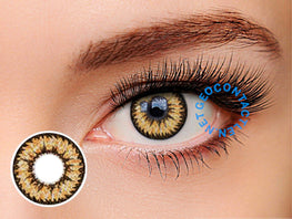 Geo Nudy Brown Lens CH-624 - Geo Contact Lens 