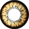 Geo Angel Brown Lens CM-834 - Geo Contact Lens 