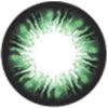 Geo Flower Blanket Green WFL-A73 - Geo Contact Lens 